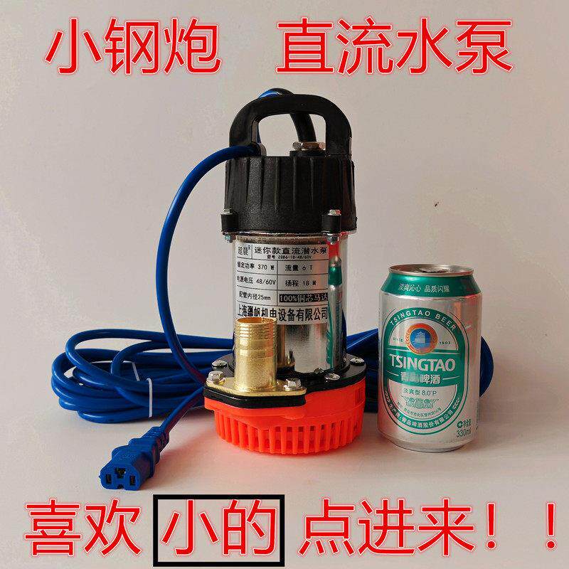 小型可携式直流潜水泵12V24V电瓶泵48V60V72V电动车泵浇菜洗车水