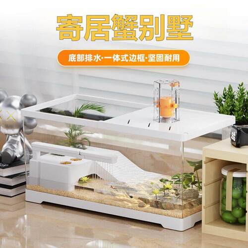 寄居蟹饲养箱小号别墅适合家养的亚克力懒人家用乌龟缸塑料生态造