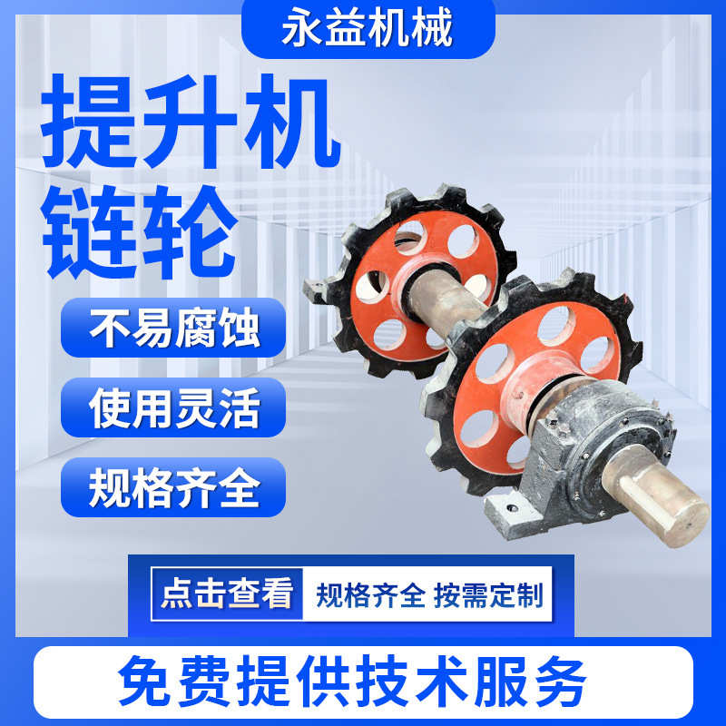 加工定做提升机链轮总成 NE提升机链轮 工业机械设备提升机配件