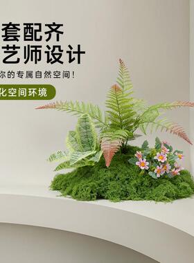 彷真绿色植物小型造景室内景观橱窗楼梯下彷生花场景装饰布置假树