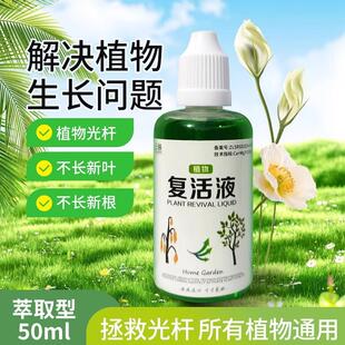 Plant Revival Solution, Flower Revival Solution, Plants and
