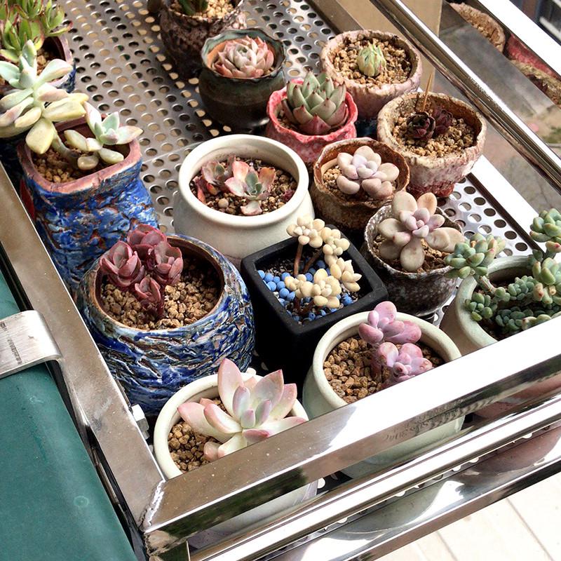 2I304不锈钢花架带垫板悬挂式阳台户外栏杆花架窗台置物架东北吊