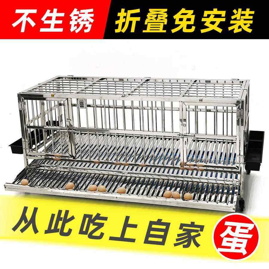 大量购买折叠式不锈钢蛋鸡笼子自动下蛋家用鸡笼子鸡窝防啄蛋养殖