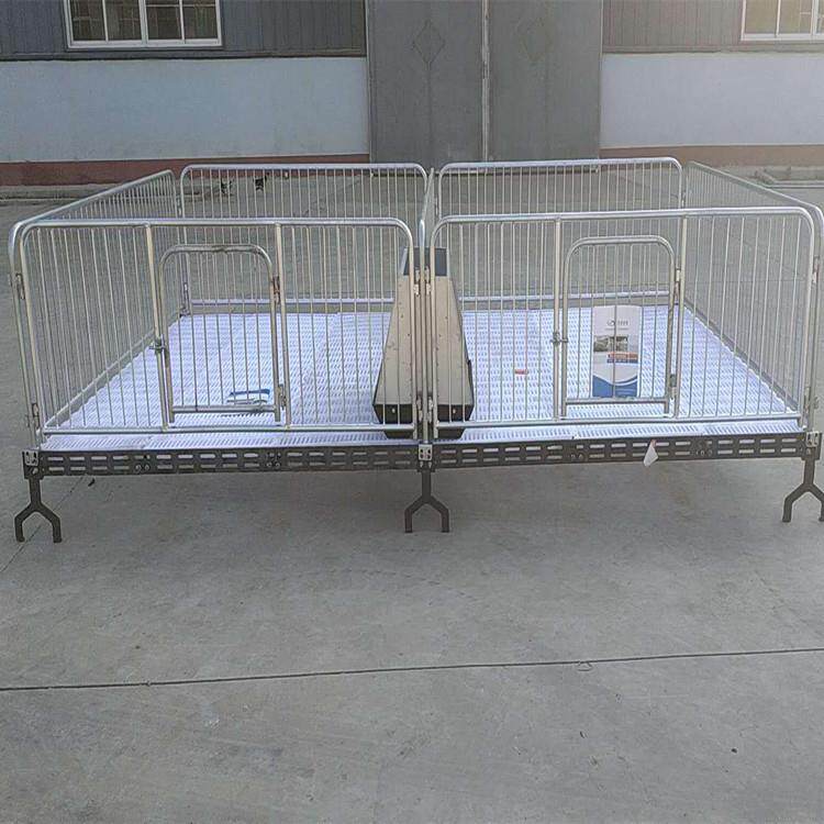 双体小猪喂猪供应猪床两圈保育床复合保育养猪设备