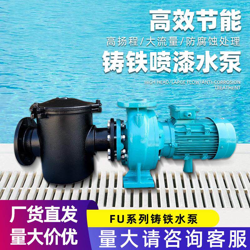 FU铸铁水泵循环离心式水泵静音水泵游泳池设备高扬程大功率水泵