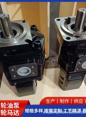 除雪车双联齿轮泵CBGJ2100/0020R液压齿轮泵生产厂家耐腐蚀