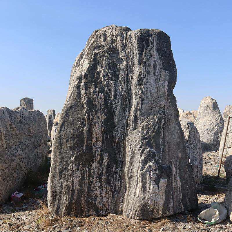 泰山石原石刻字庭院景观置石园林花园草坪石校训石公园景区大石头