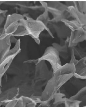 0.2-10μmMxene单层碳化钛Ti3C2Tx1g