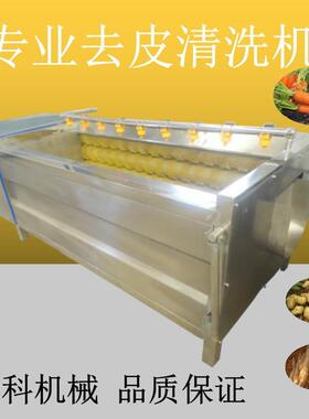 毛棍清洗机报价 出皮类蔬菜毛棍清洗机 防人工净菜机器清洗干净