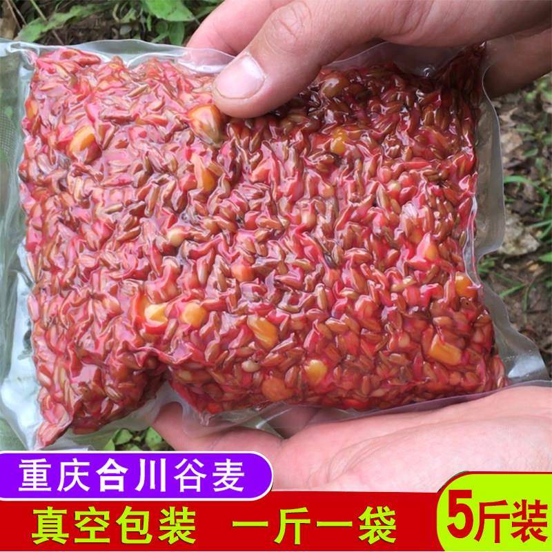 重庆合川谷麦鱼饵钓饵料水库江河野钓鲤鱼草鱼打鱼饵逗钓五谷杂粮