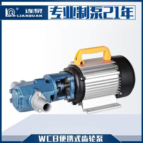 上海现货WCB-50手提式小型齿轮油泵WCB单相防爆齿轮泵