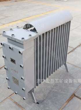 矿用隔爆电暖器煤矿井下取暖式电热油汀127V大功率型电加热暖风机