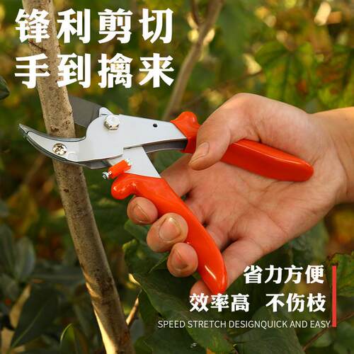 厂供家应台湾修枝剪 园艺修枝剪园艺 双松889林师果农修剪 园工具