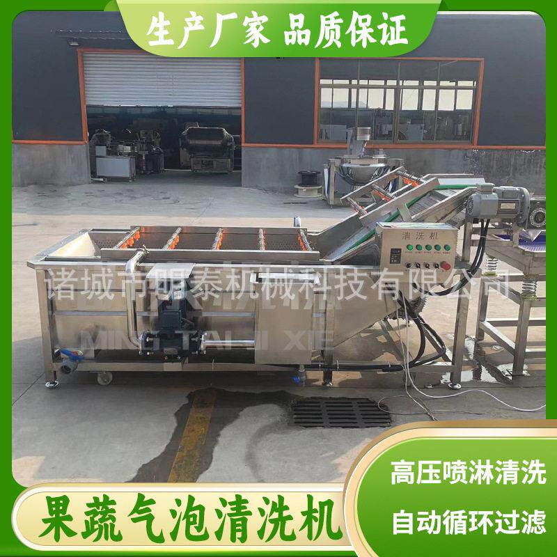 全自动果蔬气泡清洗机桃子葡萄苹果西梅洗果机韭菜油菜洗菜机