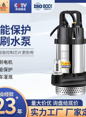 直流无刷潜水泵48V60V72V家用电瓶车抽水泵小型电动农用灌溉抽水