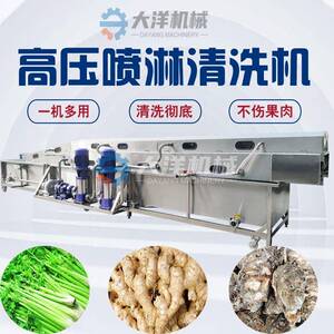 山药高压喷淋清洗机大洋机械无损伤四面喷淋清洗彻底葛根清洗设备