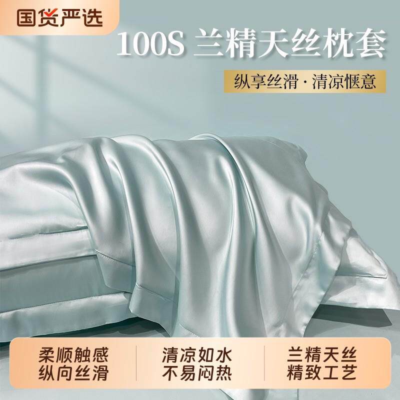 轻奢天丝夏季枕套双面真丝一对装高支冰丝凉整套48x74cm枕头枕套