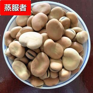 新货云南干蚕豆5斤生蚕豆罗汉豆胡豆可做种籽发芽蚕豆半斤厂