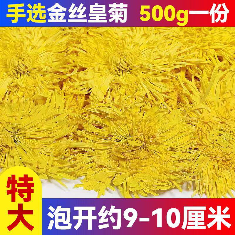 2025新花上市金丝皇菊500g安徽黄山黄菊花一朵一杯大朵散装