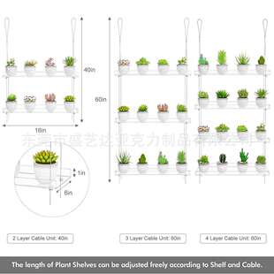厂物家亚克力透明窗户物架花盆吊架拆植置架花593瓶可储物展示架