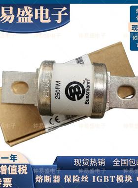 BUSSMANN保险BS88-4 200FM/250FM/280FM/315FM/350FM/690V 250AMP