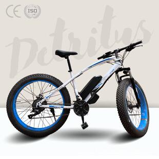 26寸21速8V电动动自行车家锂电RXS 0000沙滩雪厂地车ebike电助力4