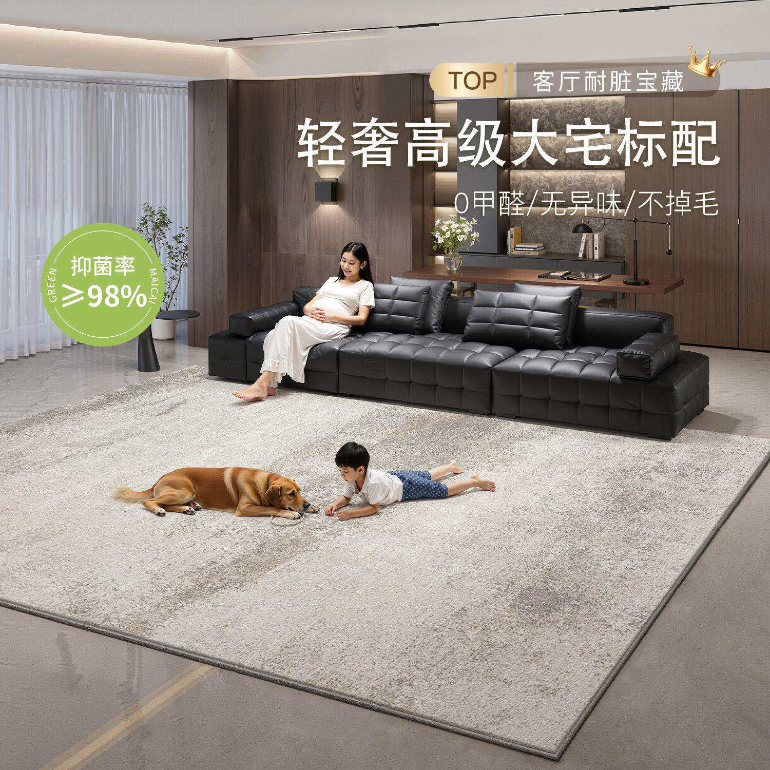 地毯客厅轻奢高级免洗可擦灰色意式极简卧室地垫家用沙发防水防污
