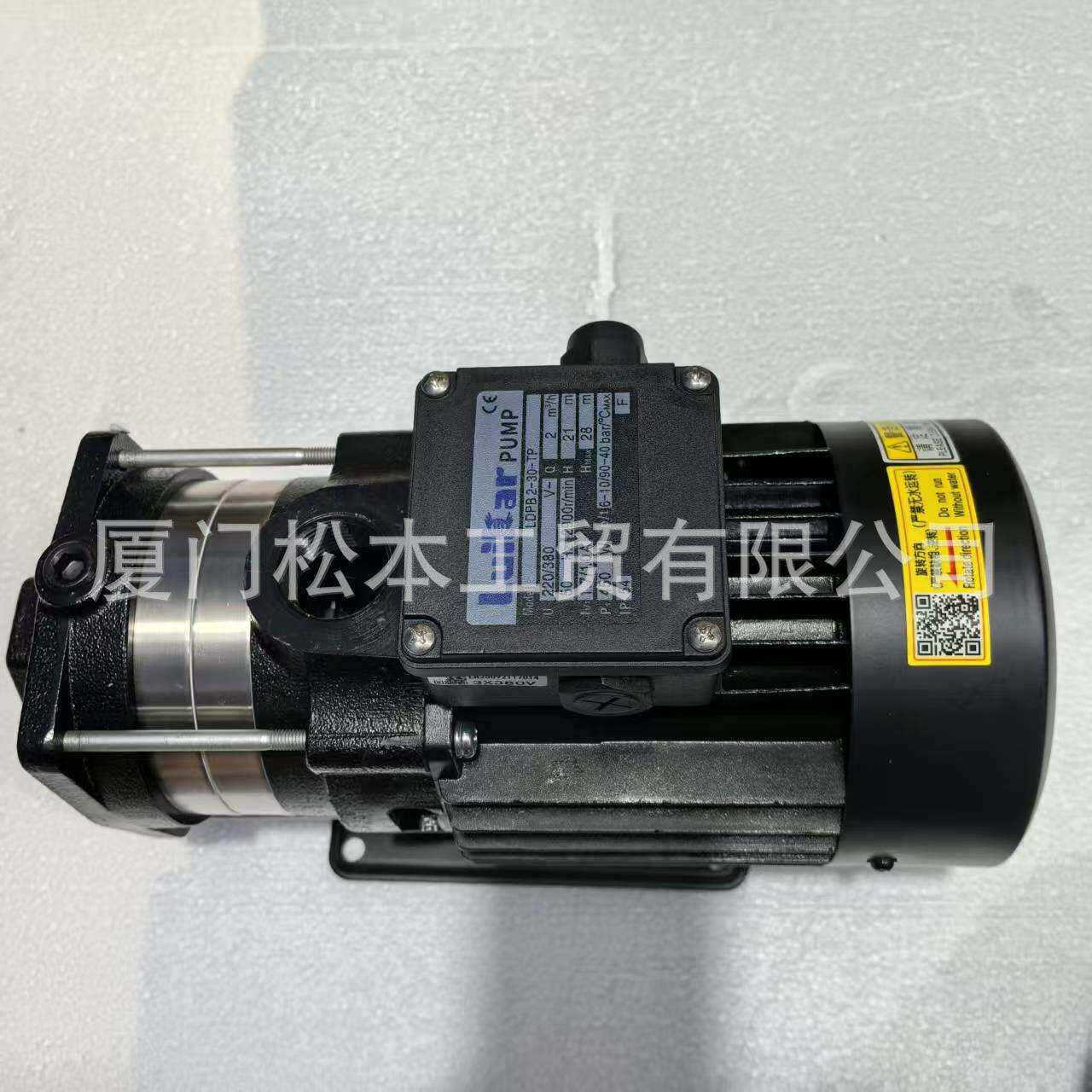 LDPB2-30-TP 抽水泵LDPB4V-30-TP 2V-90 4V-40 LDPB2V-40精雕油泵