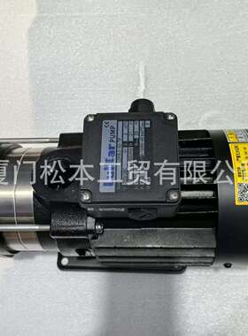 LDPB2-30-TP 抽水泵LDPB4V-30-TP 2V-90 4V-40 LDPB2V-40精雕油泵