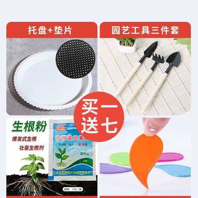 陶瓷特大口径号白色花盆简约轻奢高级感家用客厅落地绿植种树盆栽