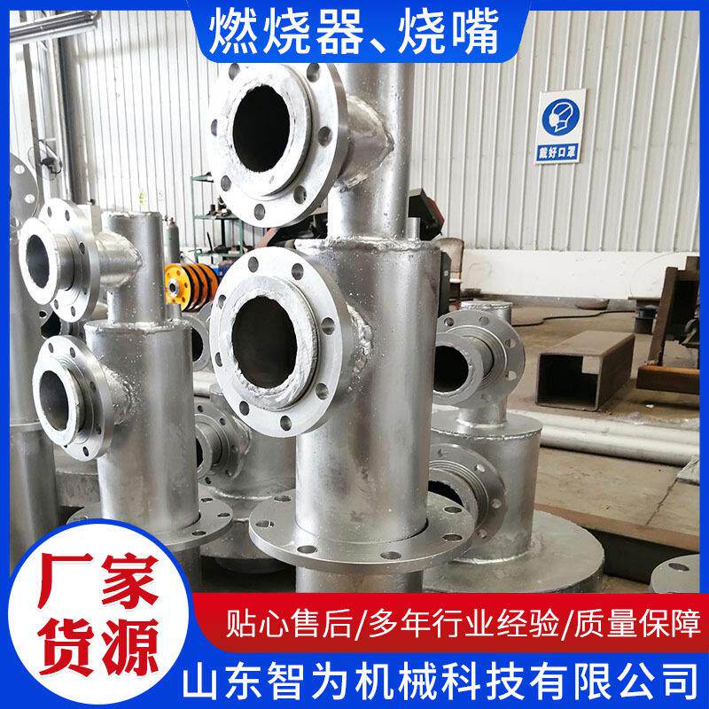 定制燃烧器烧嘴天然气窑炉自动控温点火低氮熔炉用燃烧器烧嘴