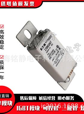 170M1735 170M1736 170M1737 170M1738 170M1739巴斯曼熔断器现货