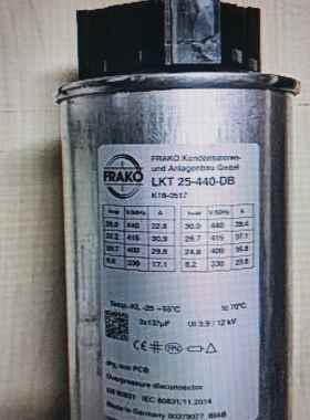 电容LKT25-4400-DB
