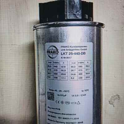 电容LKT25-4400-DB