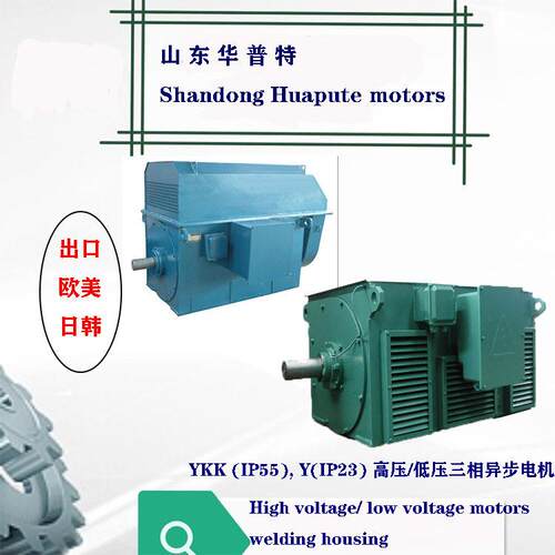 出口朝鲜欧美10v山东华普特Y压电动机1250w355wIP55