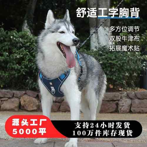 宠物胸背带工字型中大型犬防爆冲遛狗绳子可调节不勒脖大狗牵引绳
