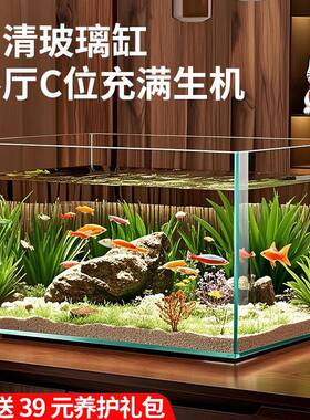 精致小鱼缸玻璃缸金家用客厅小型桌面乌龟缸生态长方形裸缸