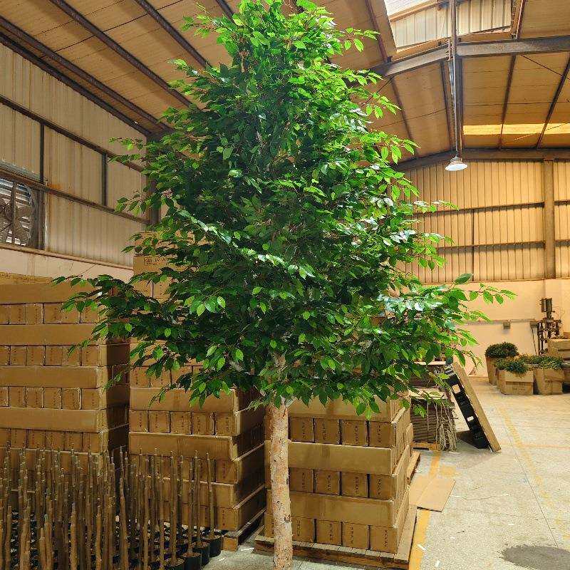 仿真白桦树网红背景树室内造型装饰树园区绿化景观厂家真树叶