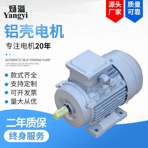 YE3M系列铝壳-100L-2级3W三相异步电动机