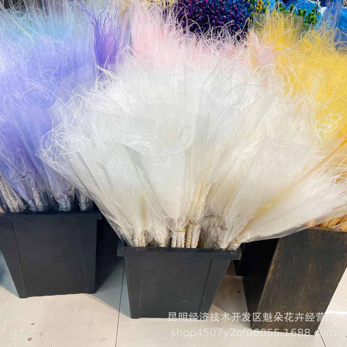仙气百搭长杆羽毛草 家居装饰拍摄道具针茅干花多色批发