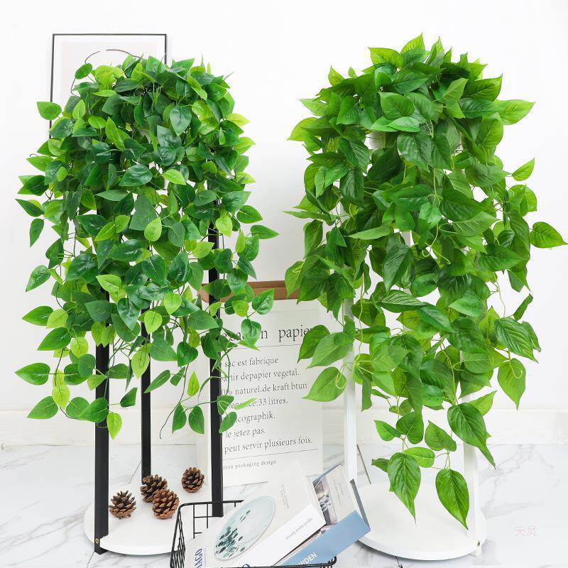 假假花垂吊仿真绿植物盆栽蔓藤装饰塑料室绿萝绿叶藤条空rd590930