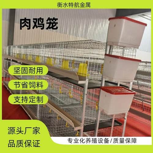 三层立式肉鸡笼镀锌材质养鸡设备养殖场层叠式肉鸡笼