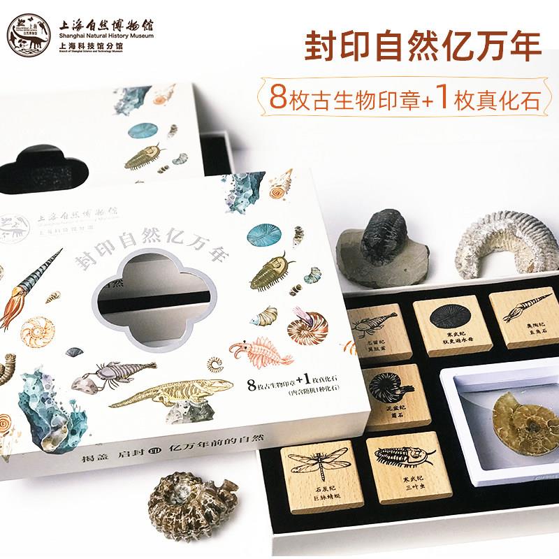 【上海自然博物馆文创】 原创设计风封印自然古生物木质印章套装