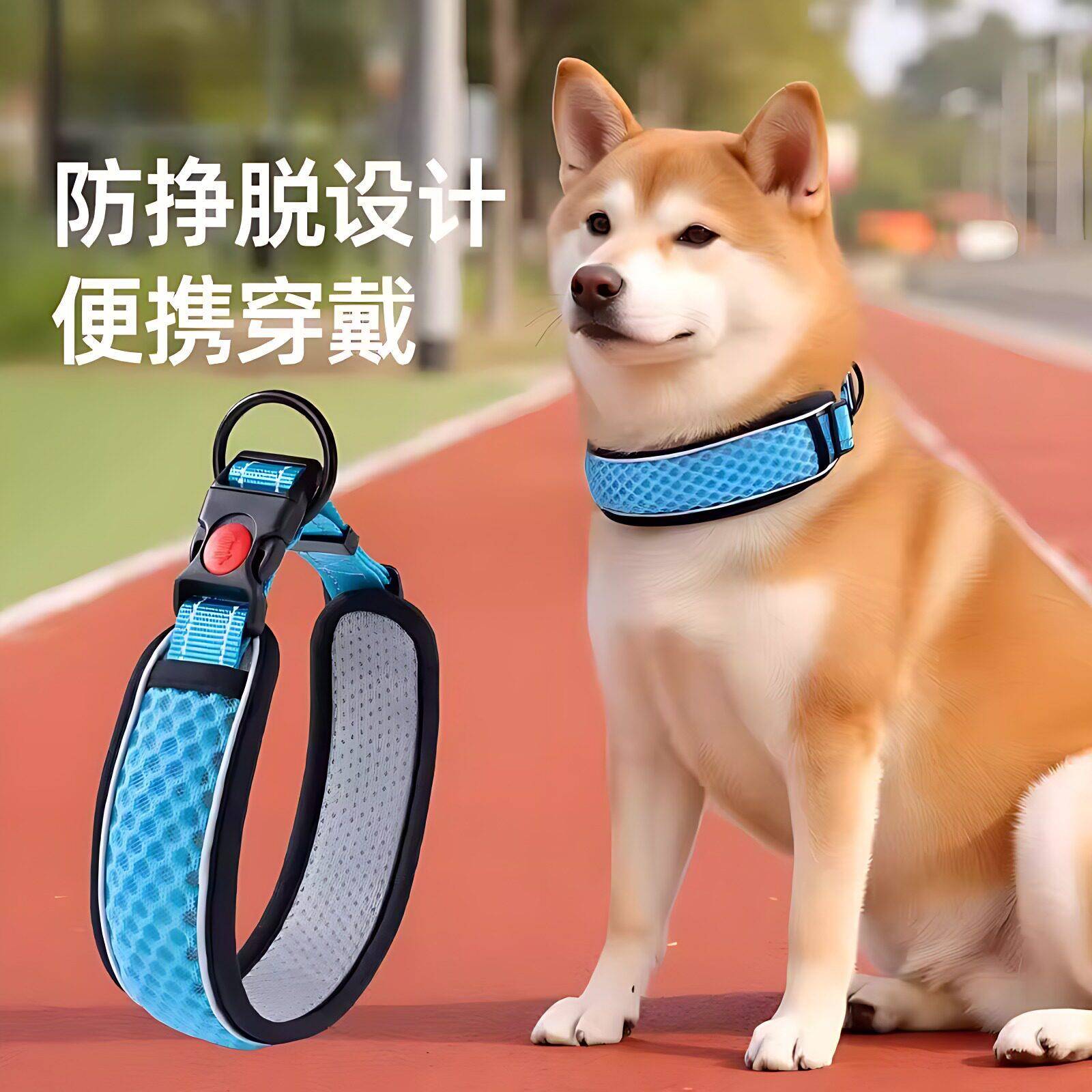 脖圈狗狗项圈脖套狗链颈圈大小中型犬遛狗绳子牵引绳柴犬宠物狗圈