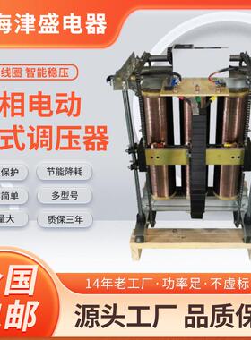 定制380V单三相大功率调压器柱式调压器50KW100KW200KW0-430V500V