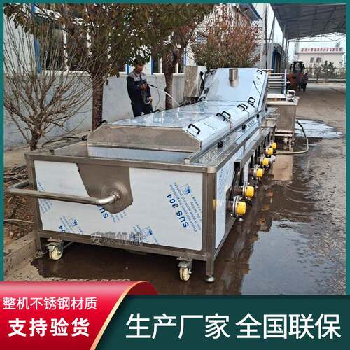 竹笋加工气泡清洗机笋丝热水焯水漂烫机全自动山野菜杀青护色机