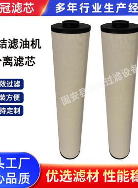 替颇尔1202846聚结滤油机分离滤芯工程器械设备玻纤液压油滤芯