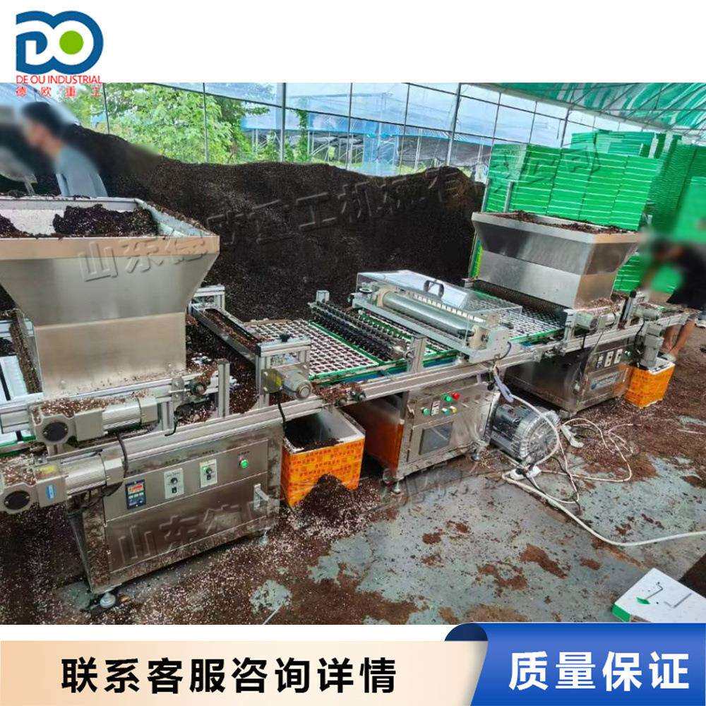 全自动秧苗播籽机农用蔬菜育苗盘播种机花卉用穴盘压穴一体机