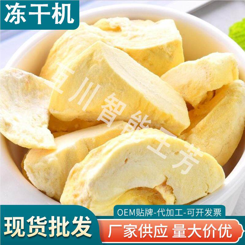 莲干泰国金榴枕冻榴莲脆块低温冷冻食机 有零HFD350L有冻干草莓真