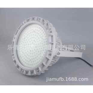 40b1J带应急LED防爆照明灯LED光源防爆灯 BAD84